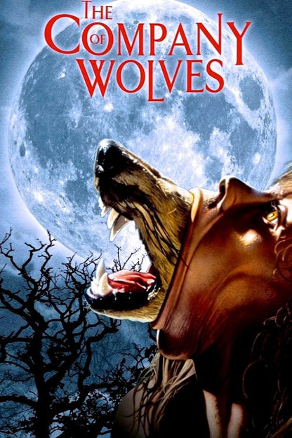 The Company of Wolves Blu-ray poster