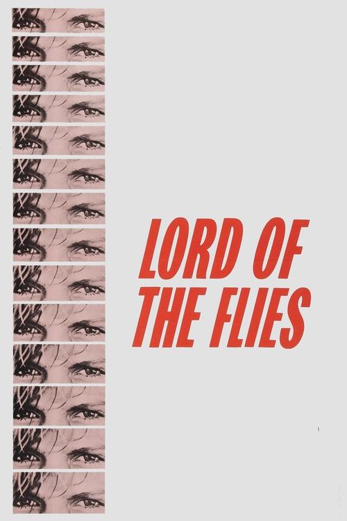 Lord of the Flies DVD poster