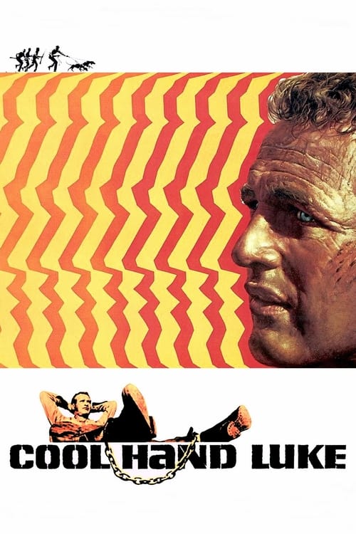 Cool Hand Luke DVD poster