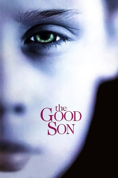 The Good Son VHS poster