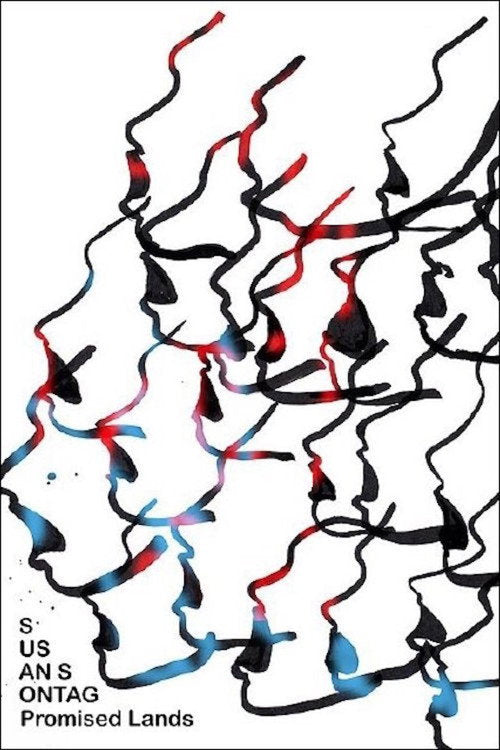 Promised Lands DVD poster