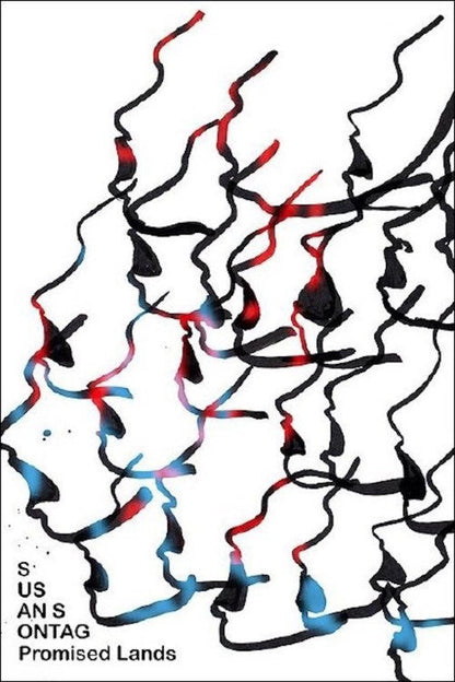 Promised Lands DVD poster