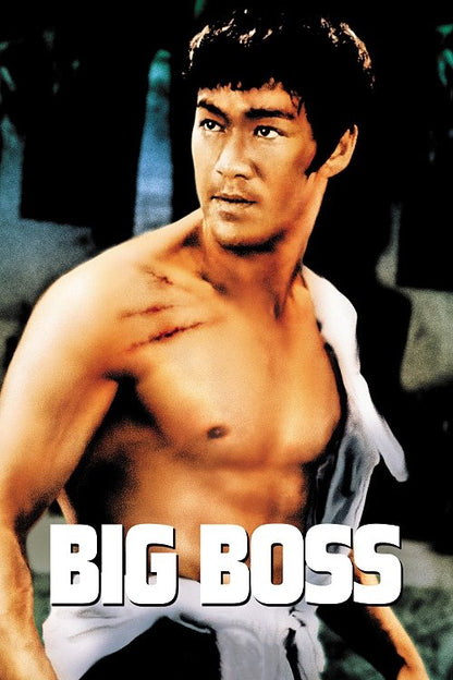 The Big Boss DVD poster