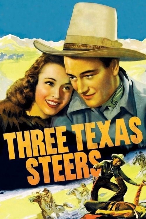 Three Texas Steers DVD poster