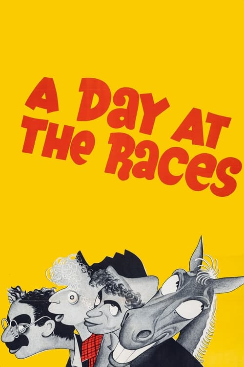 A Day at the Races DVD poster