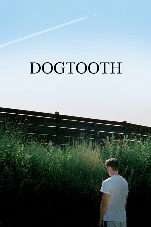 Dogtooth DVD poster