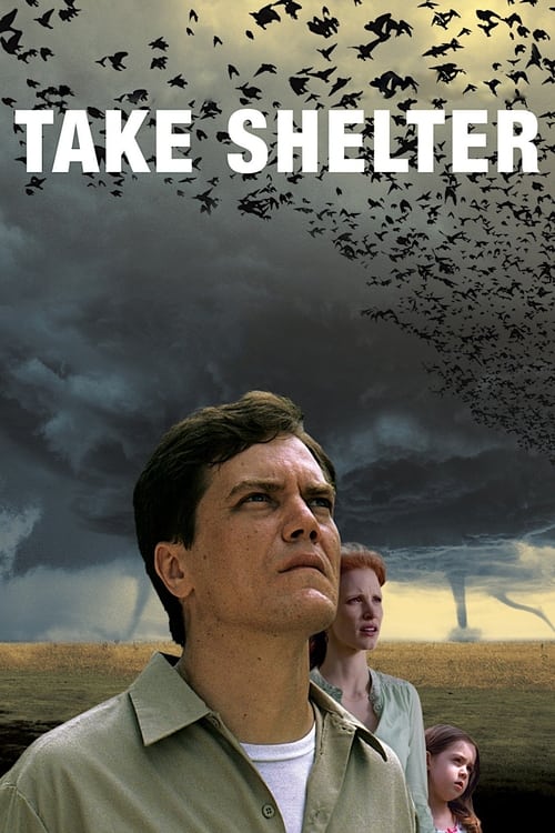 Take Shelter Blu-ray poster