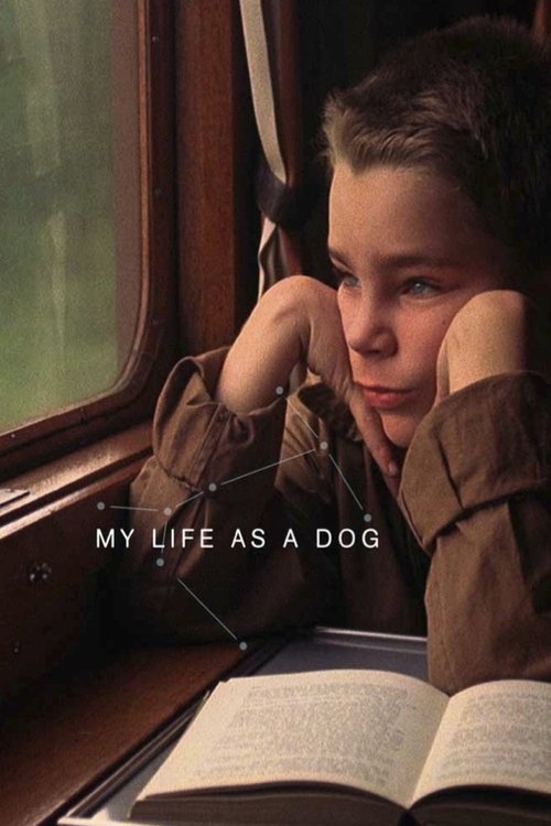 My Life as a Dog DVD poster