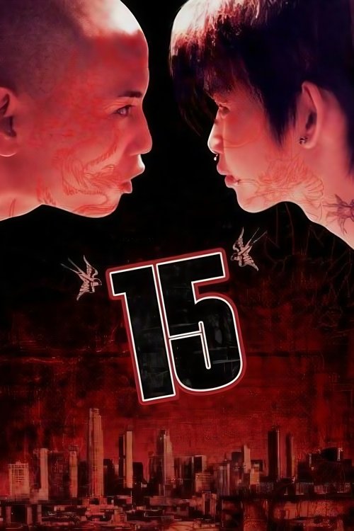 15 DVD poster