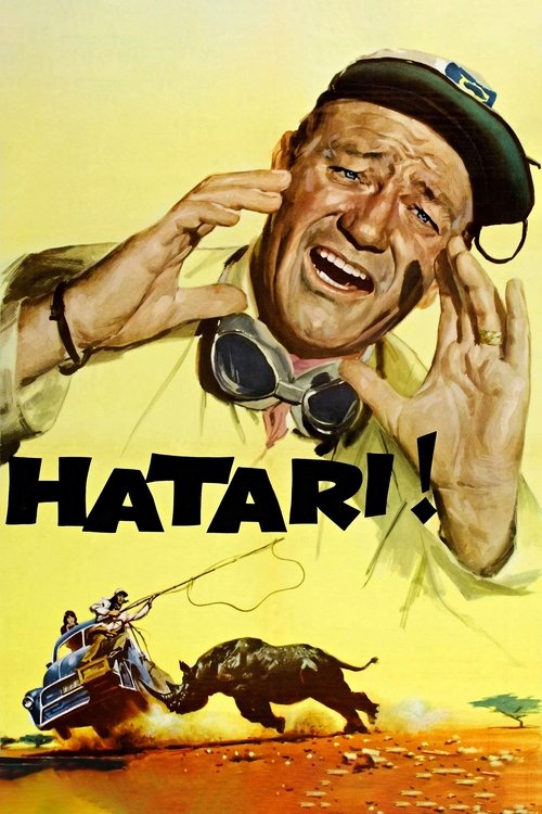 Hatari! DVD poster