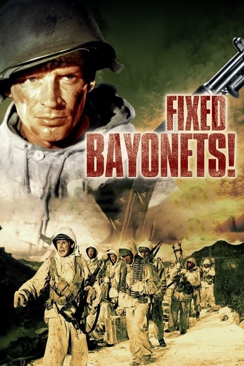 Fixed Bayonets! DVD poster