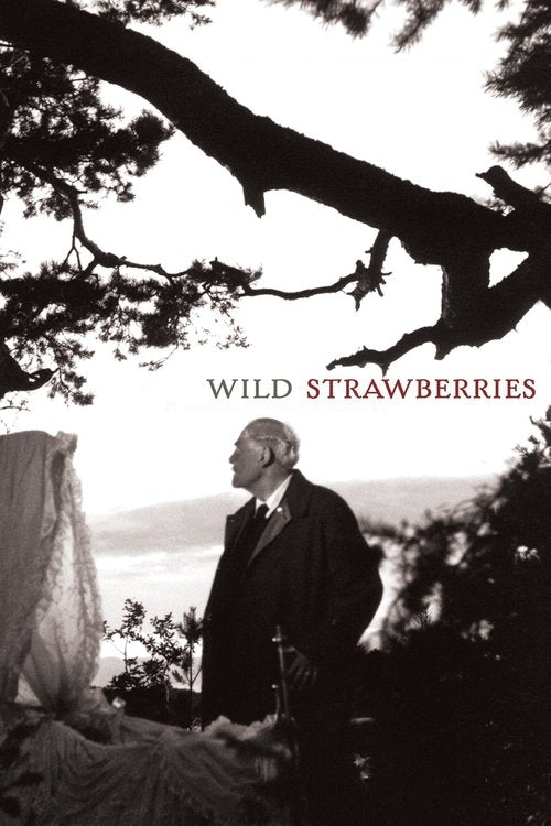 Wild Strawberries DVD poster