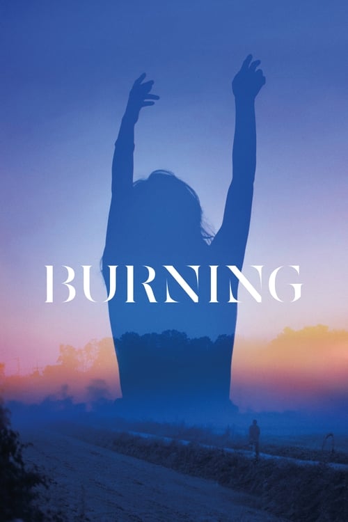 Burning DVD poster