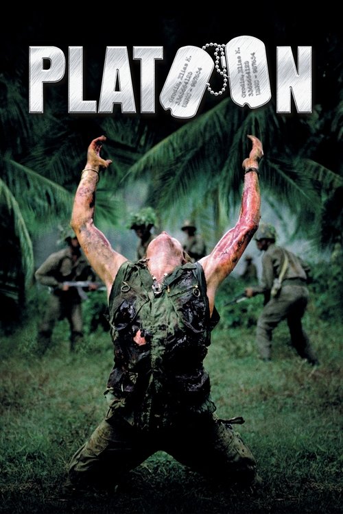 Platoon DVD poster