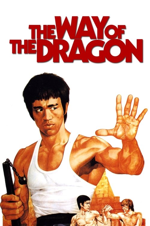 The Way of the Dragon DVD poster