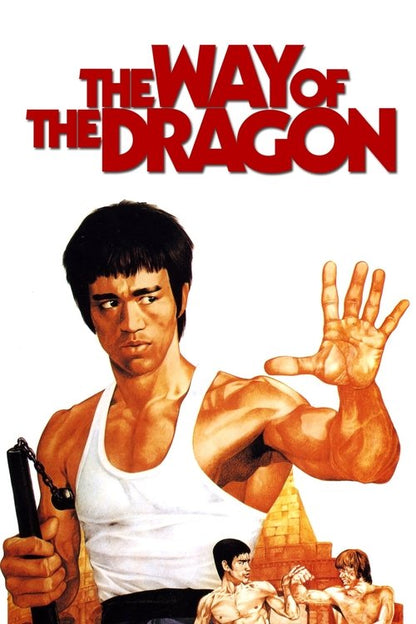 The Way of the Dragon DVD poster