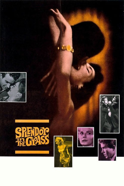 Splendor in the Grass VHS poster