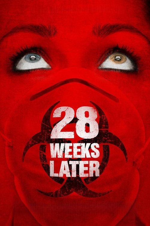 28 Weeks Later Blu-ray poster