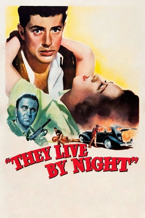 They Live by Night DVD poster