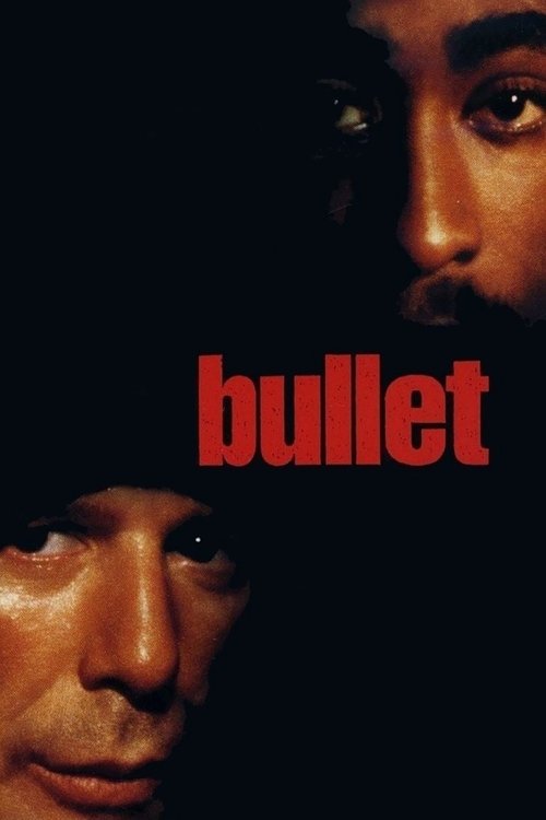 Bullet DVD poster