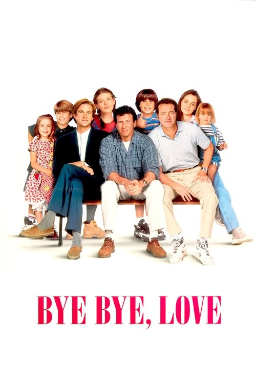 Bye Bye Love VHS poster