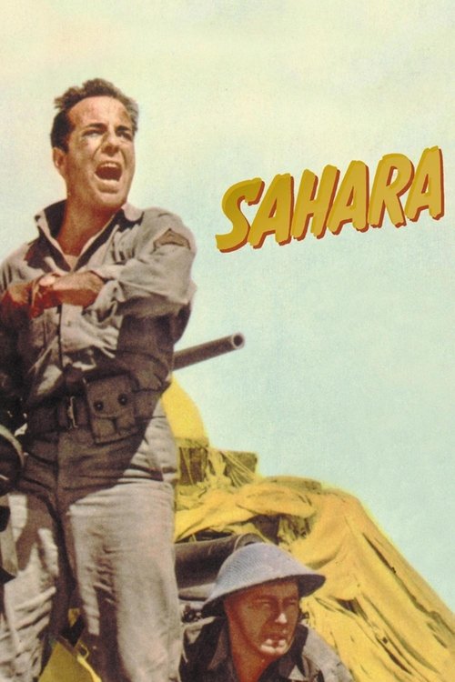 Sahara DVD poster