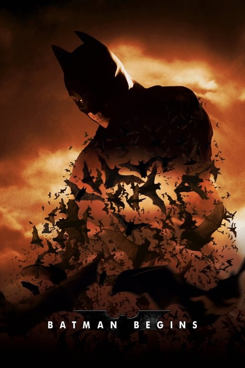 Batman Begins DVD poster