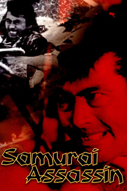 Samurai Assassin DVD poster