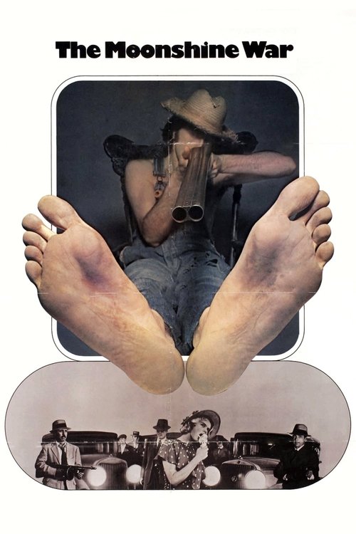 The Moonshine War DVD poster