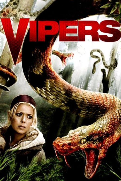 Vipers DVD poster