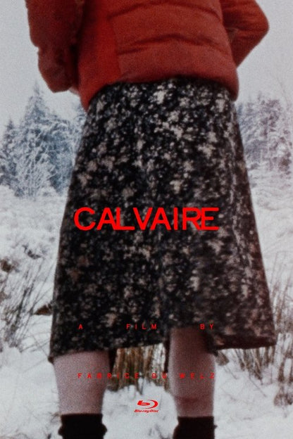 Calvaire DVD poster