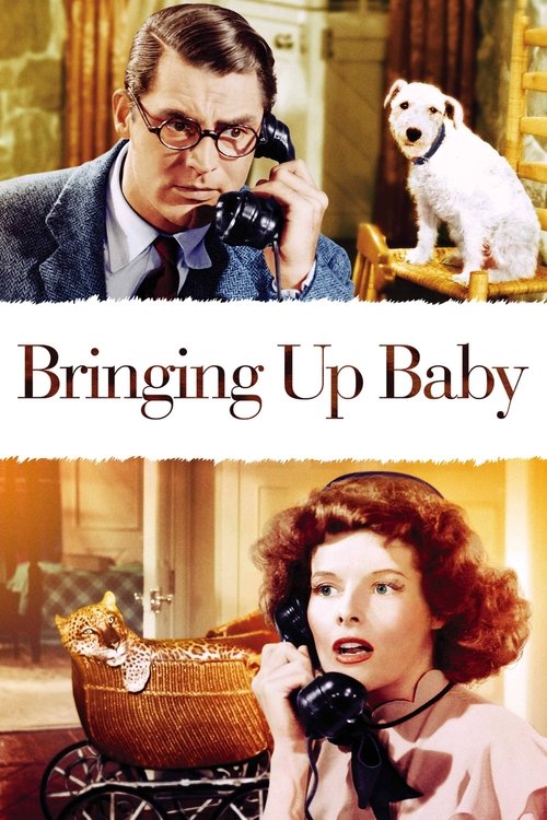 Bringing Up Baby VHS poster