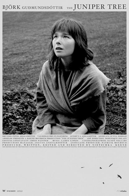 The Juniper Tree Blu-ray poster