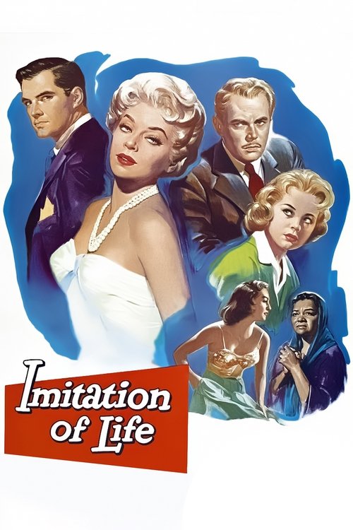 Imitation of Life DVD poster