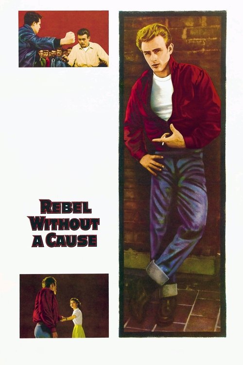 Rebel Without a Cause DVD poster