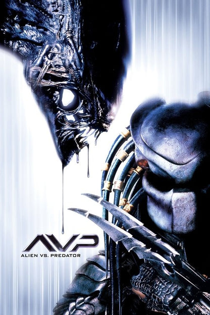 AVP: Alien vs. Predator DVD poster