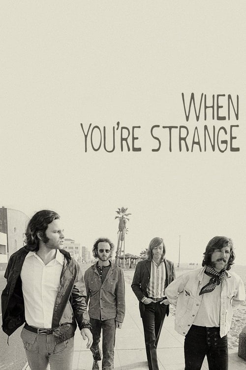 When You're Strange DVD poster