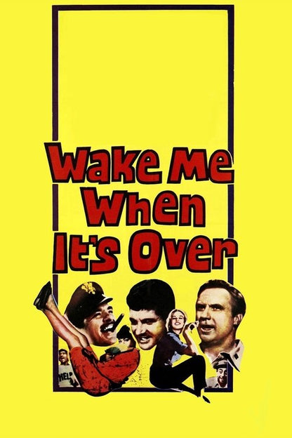 Wake Me When It's Over DVD poster